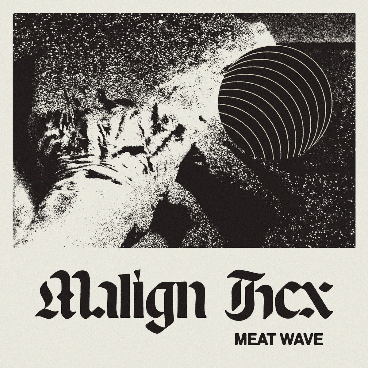 Hex Malign Meat Wave cover